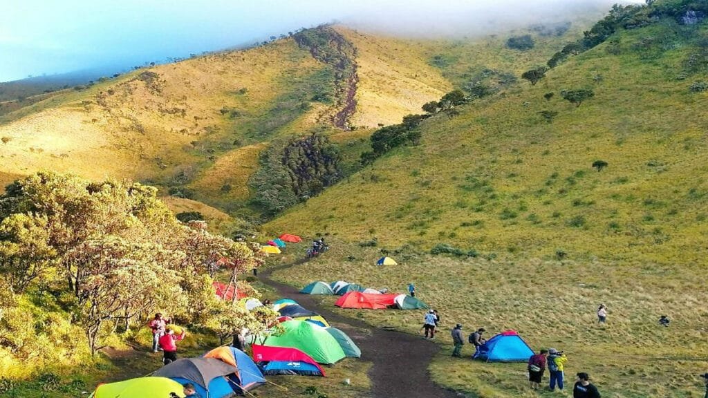 Merbabu Camping 2d1n