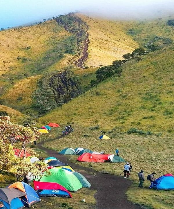 Merbabu Camping 2d1n